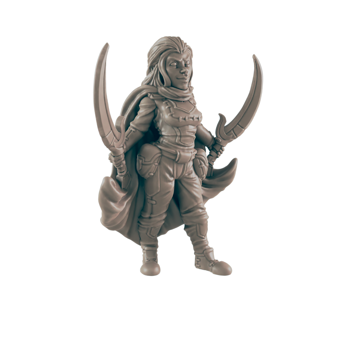 Rogues - Everyday Heroes