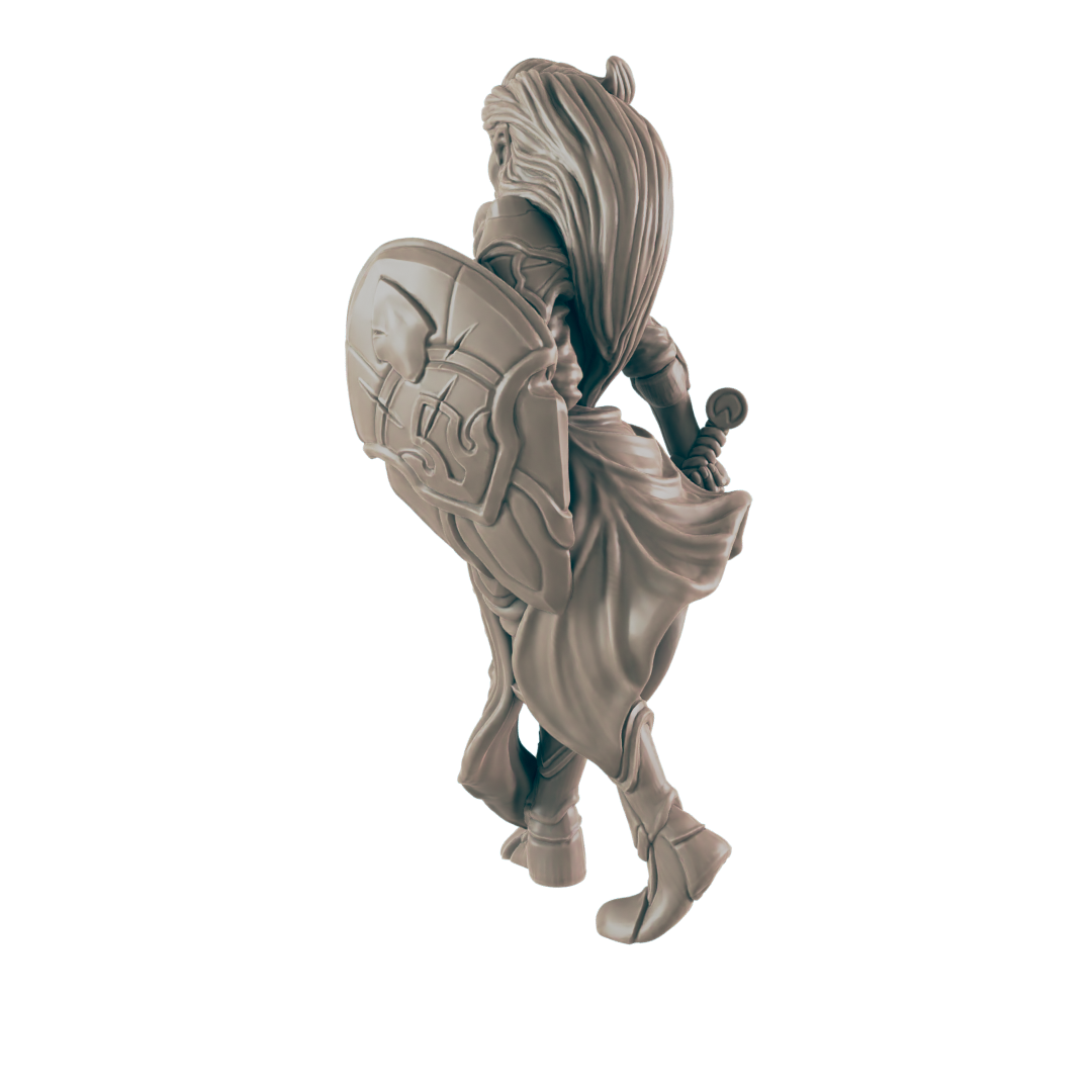 Paladins - Everyday Heroes