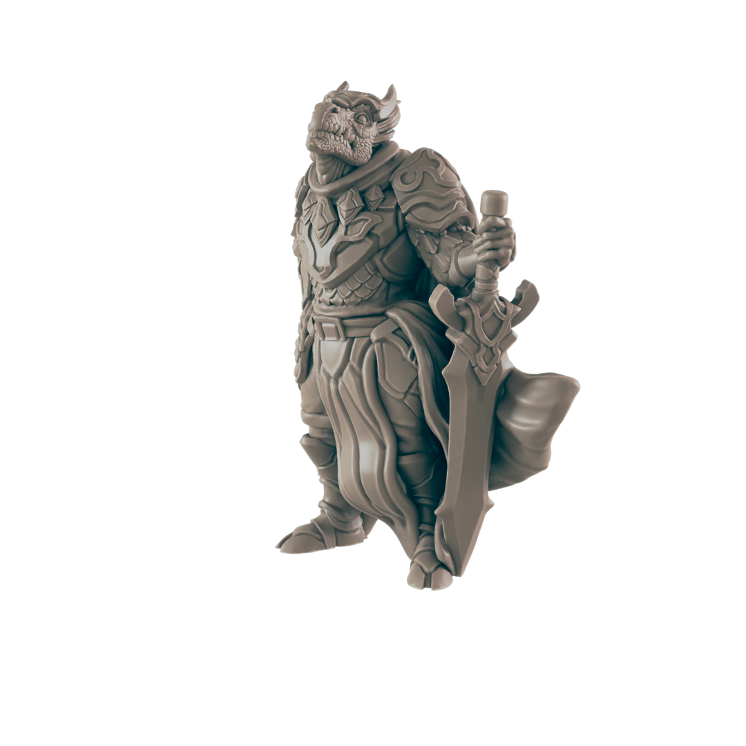 Paladins - Everyday Heroes