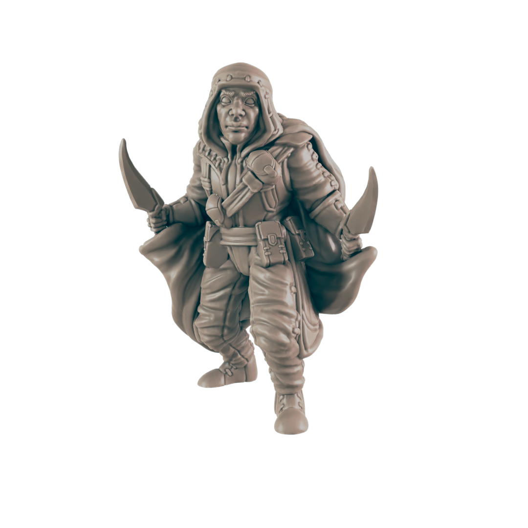 Rogues - Everyday Heroes