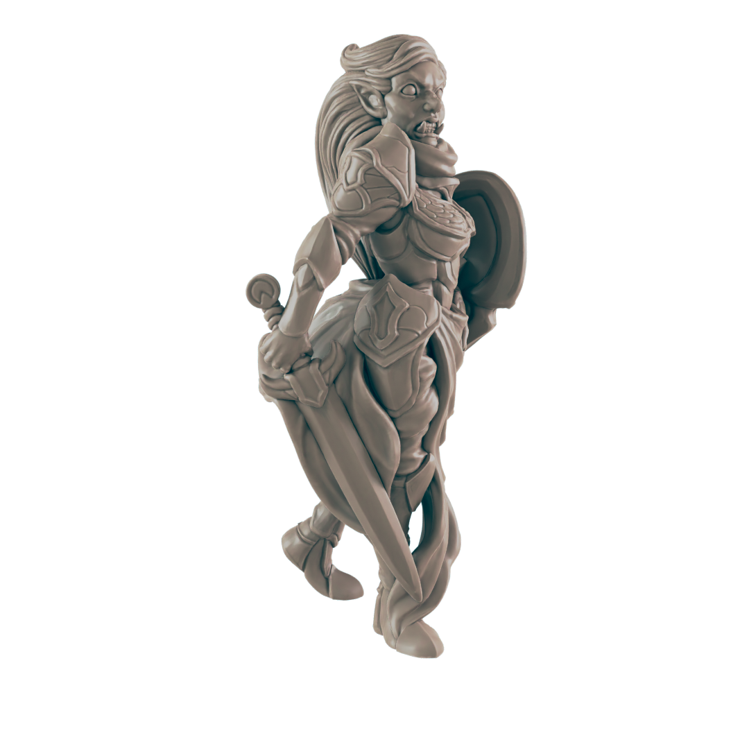 Paladins - Everyday Heroes