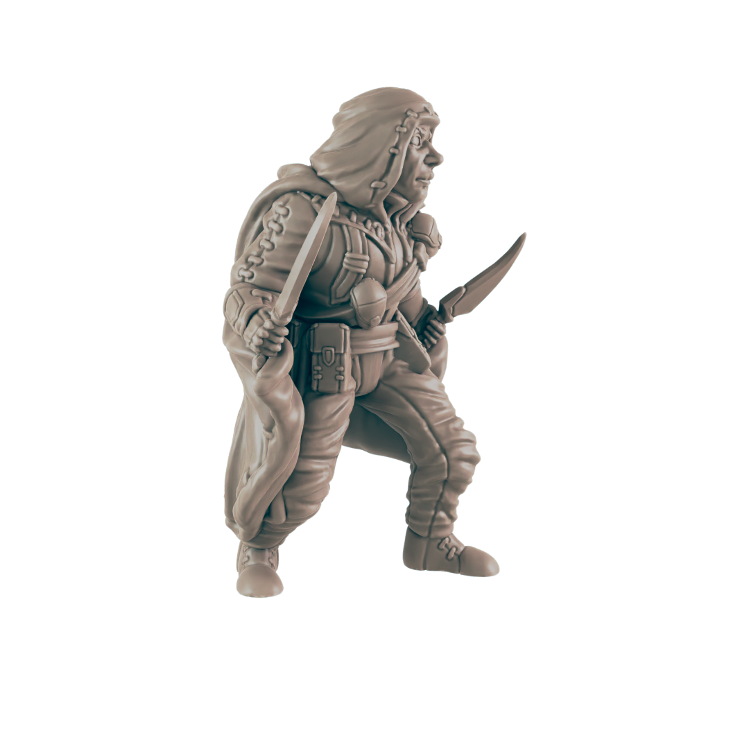 Rogues - Everyday Heroes