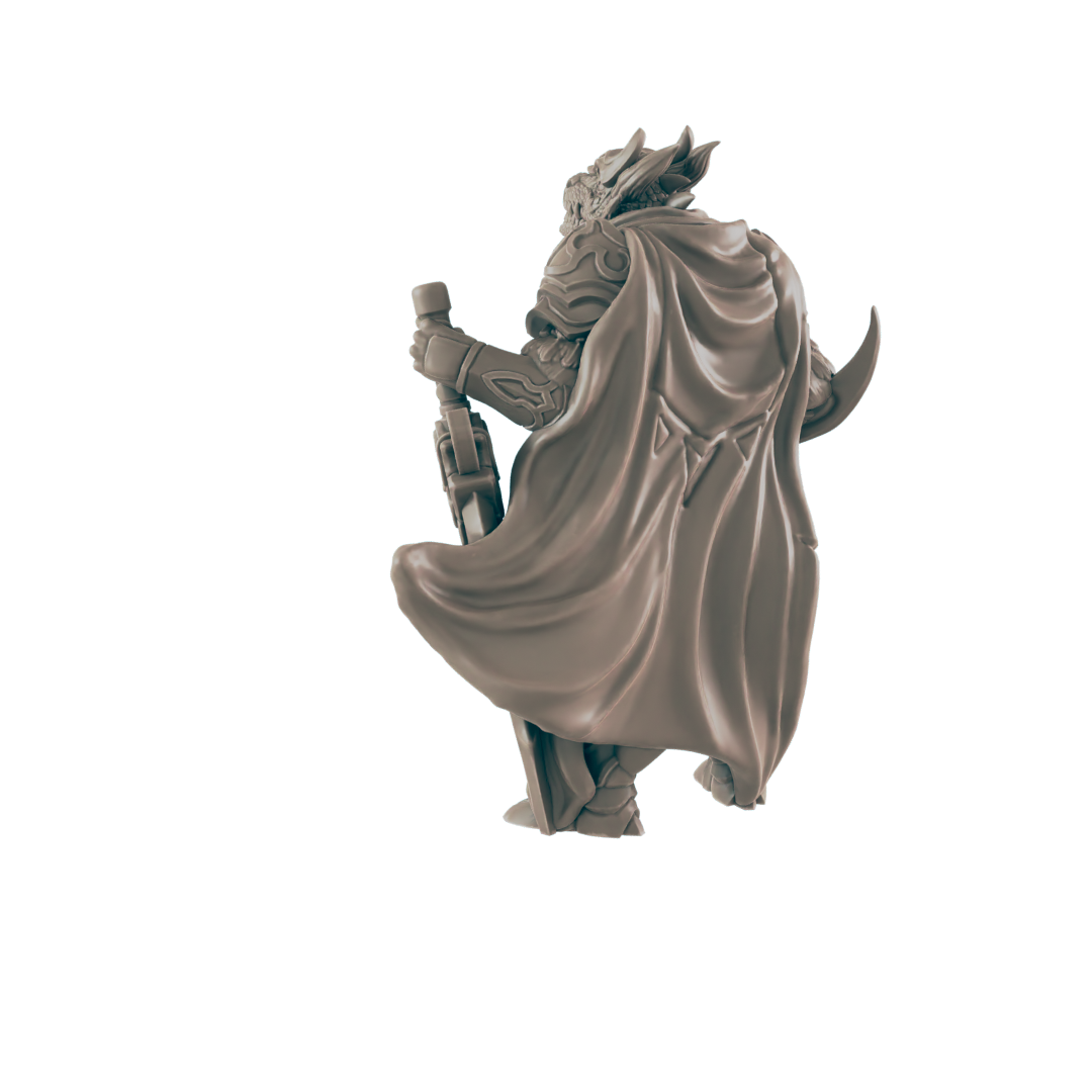 Paladins - Everyday Heroes