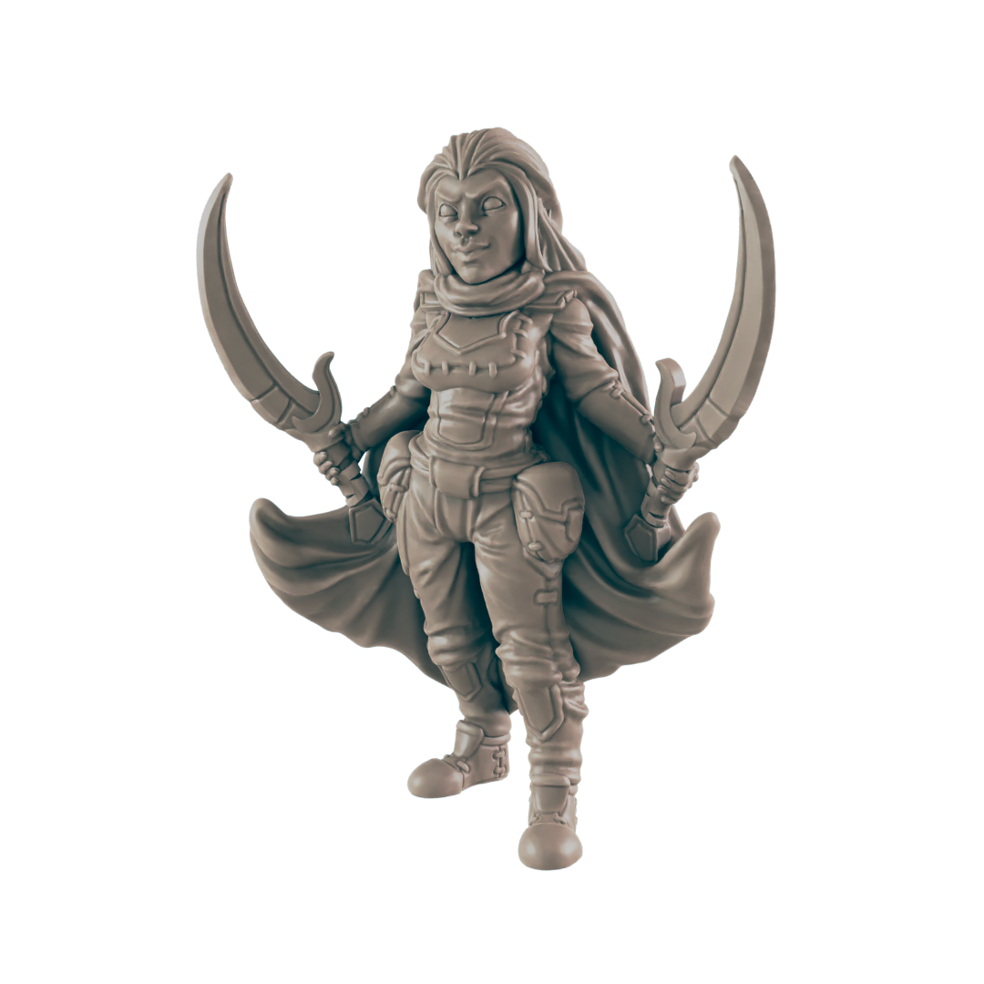 Rogues - Everyday Heroes