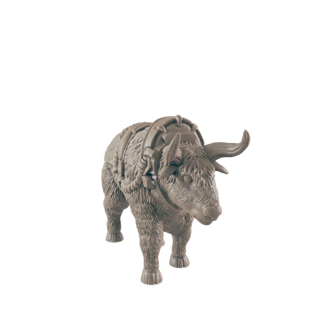 Animals - Everyday Folk