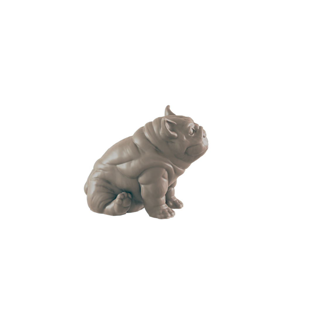 Animals - Everyday Folk