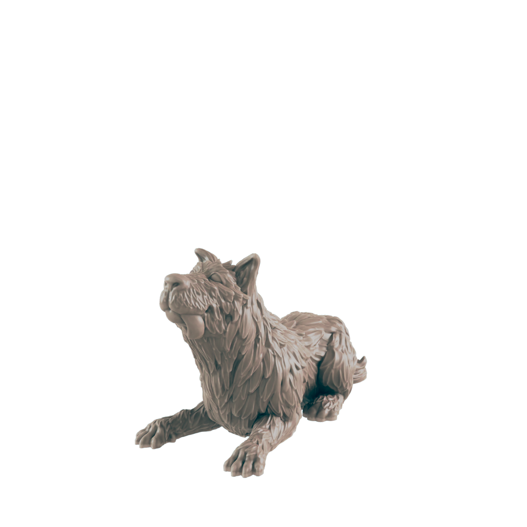 Animals - Everyday Folk