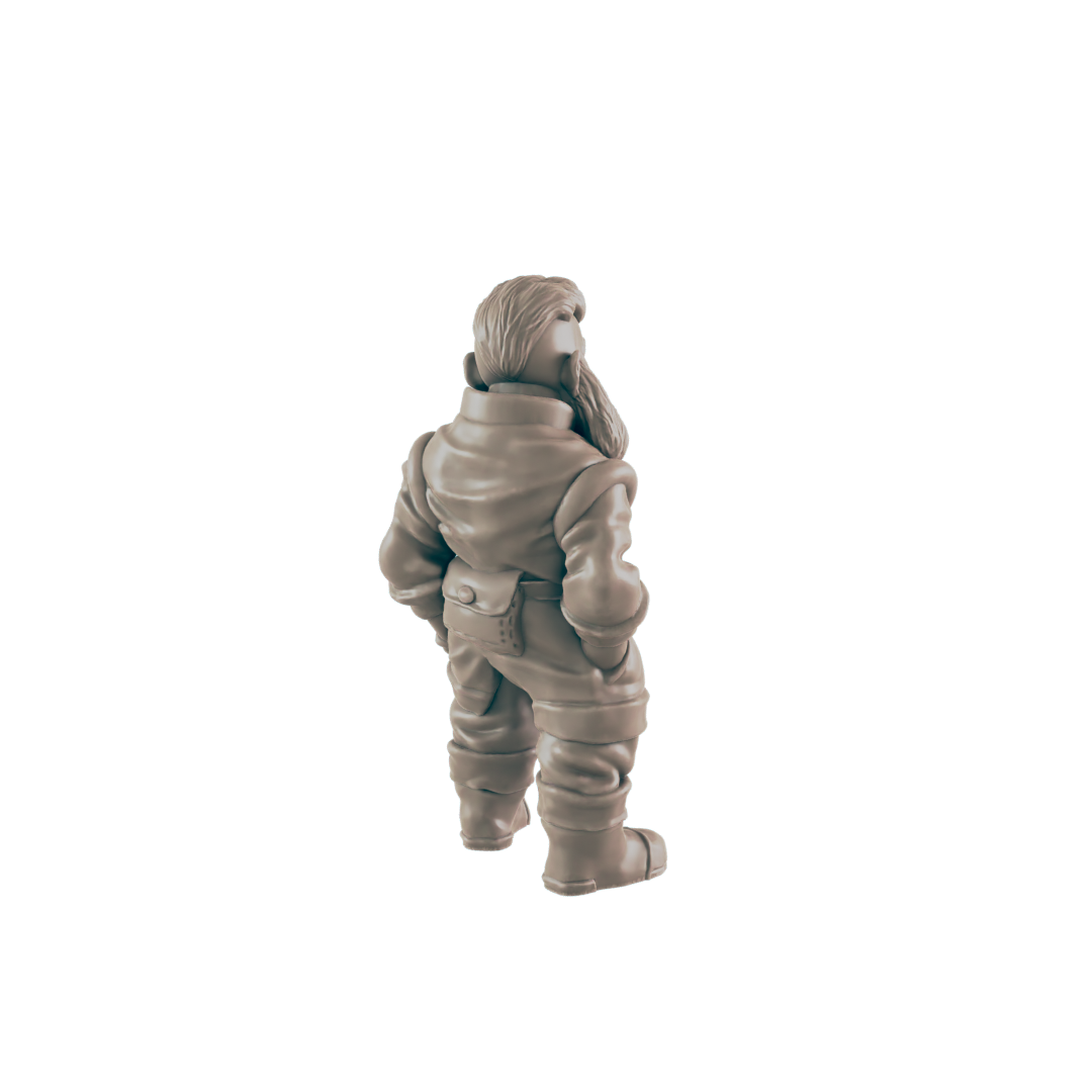 Dwarves - Everyday Folk