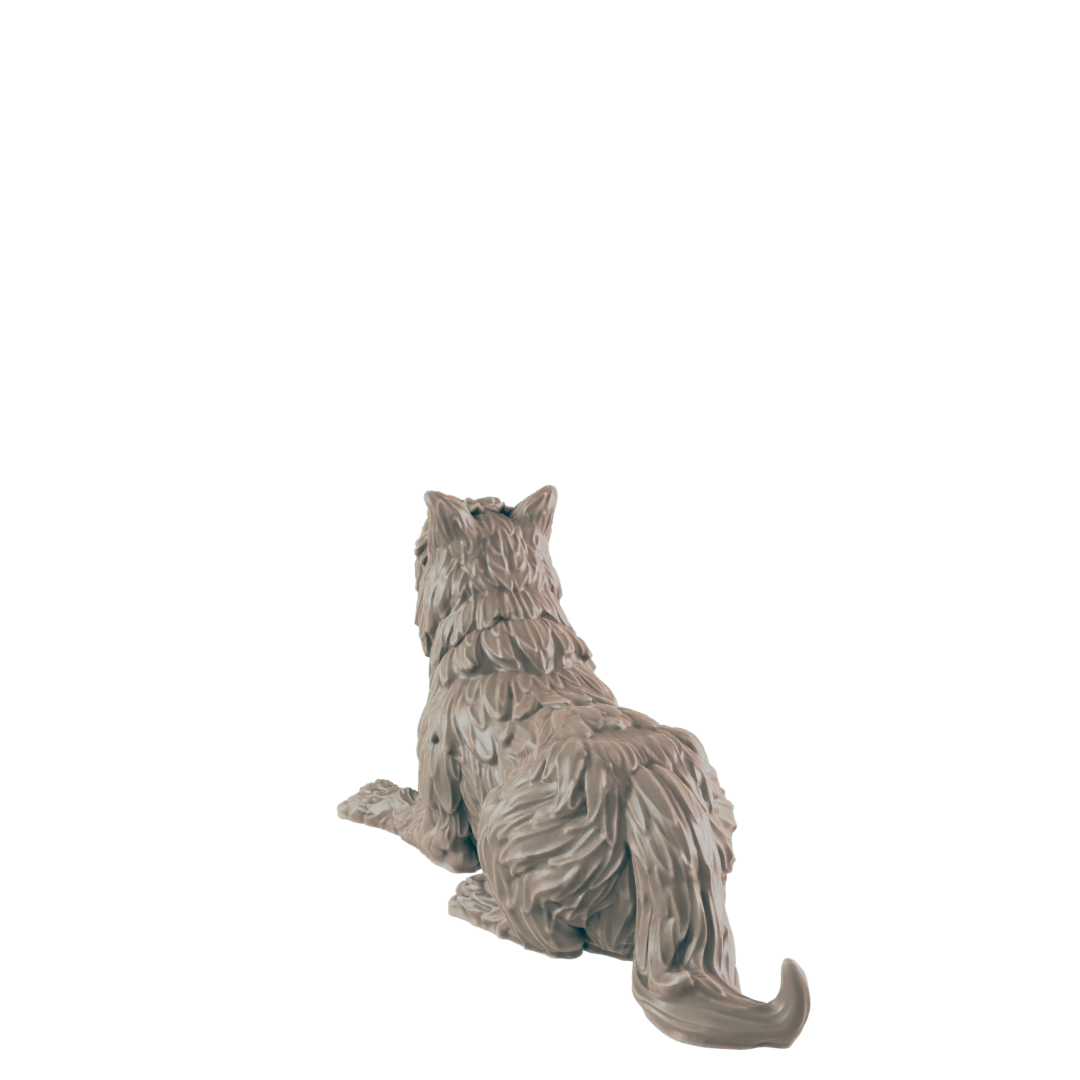 Animals - Everyday Folk