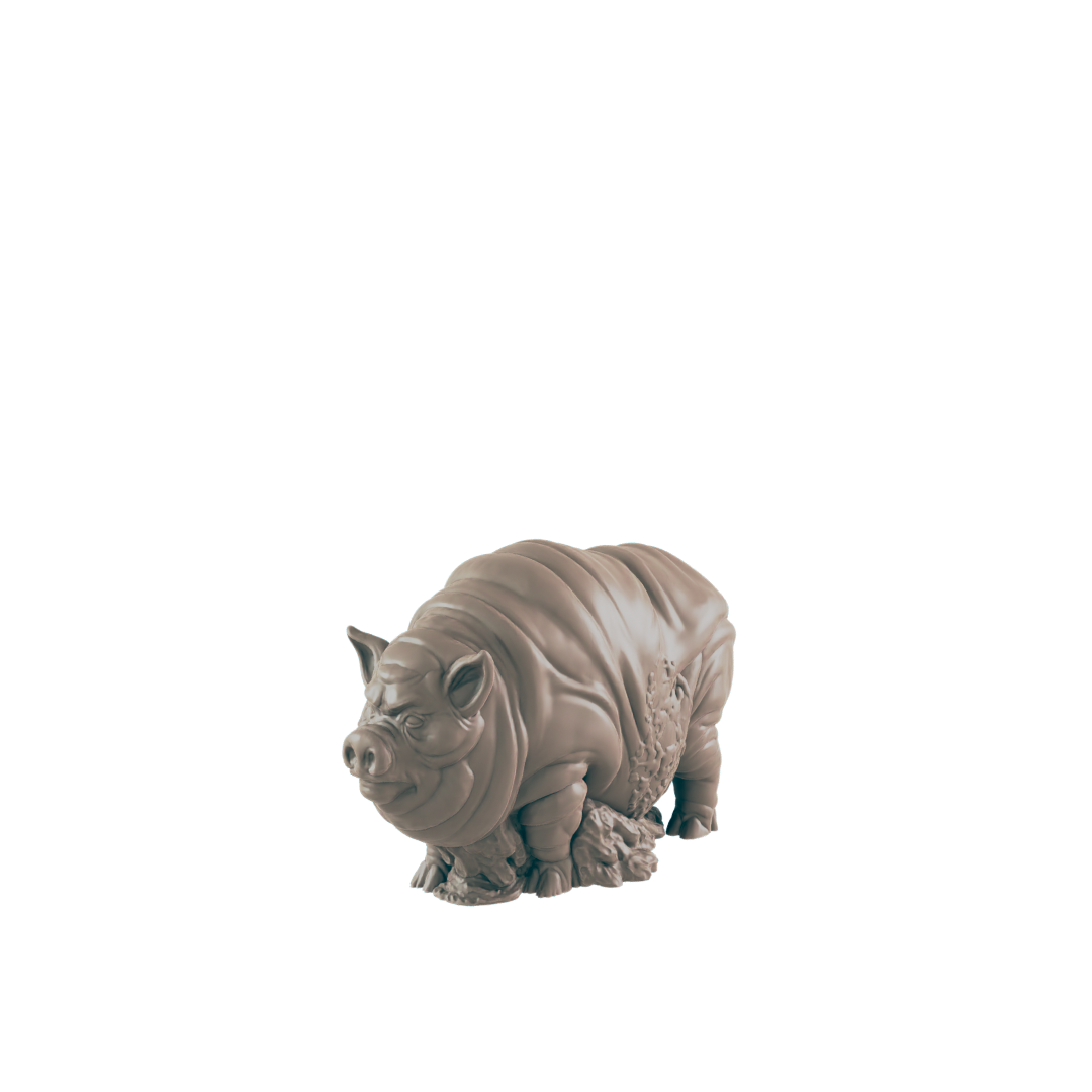 Animals - Everyday Folk