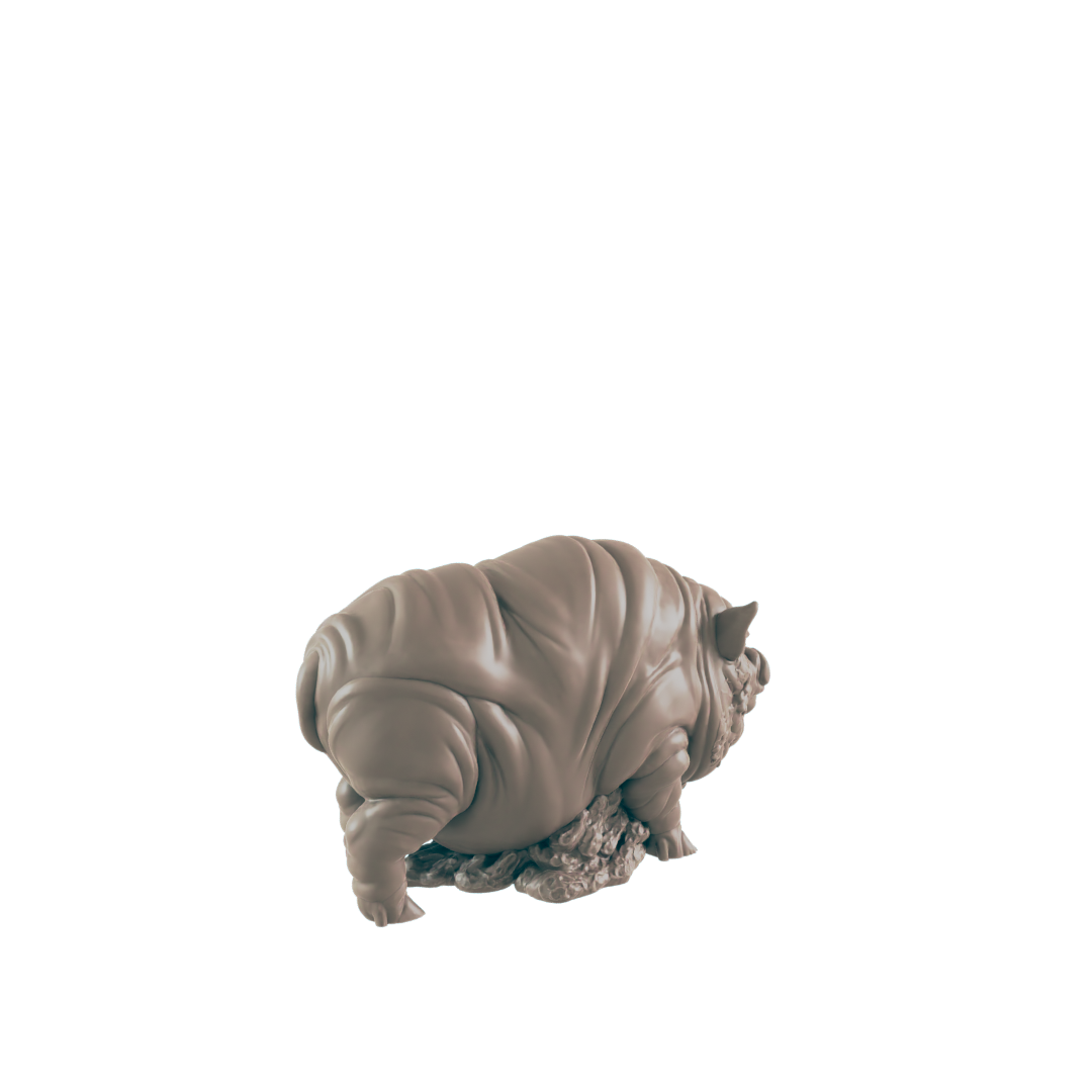 Animals - Everyday Folk