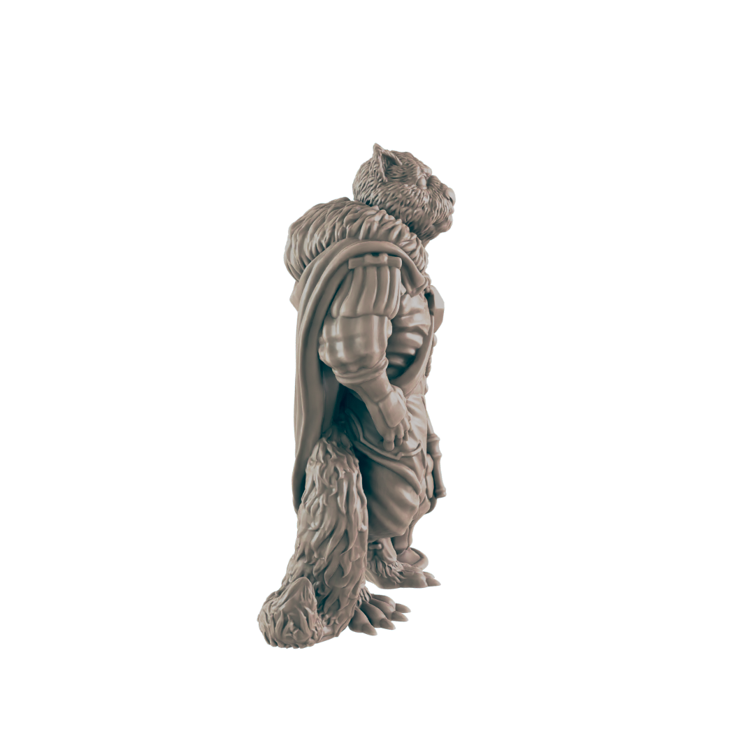 Cat folk - Everyday Folk