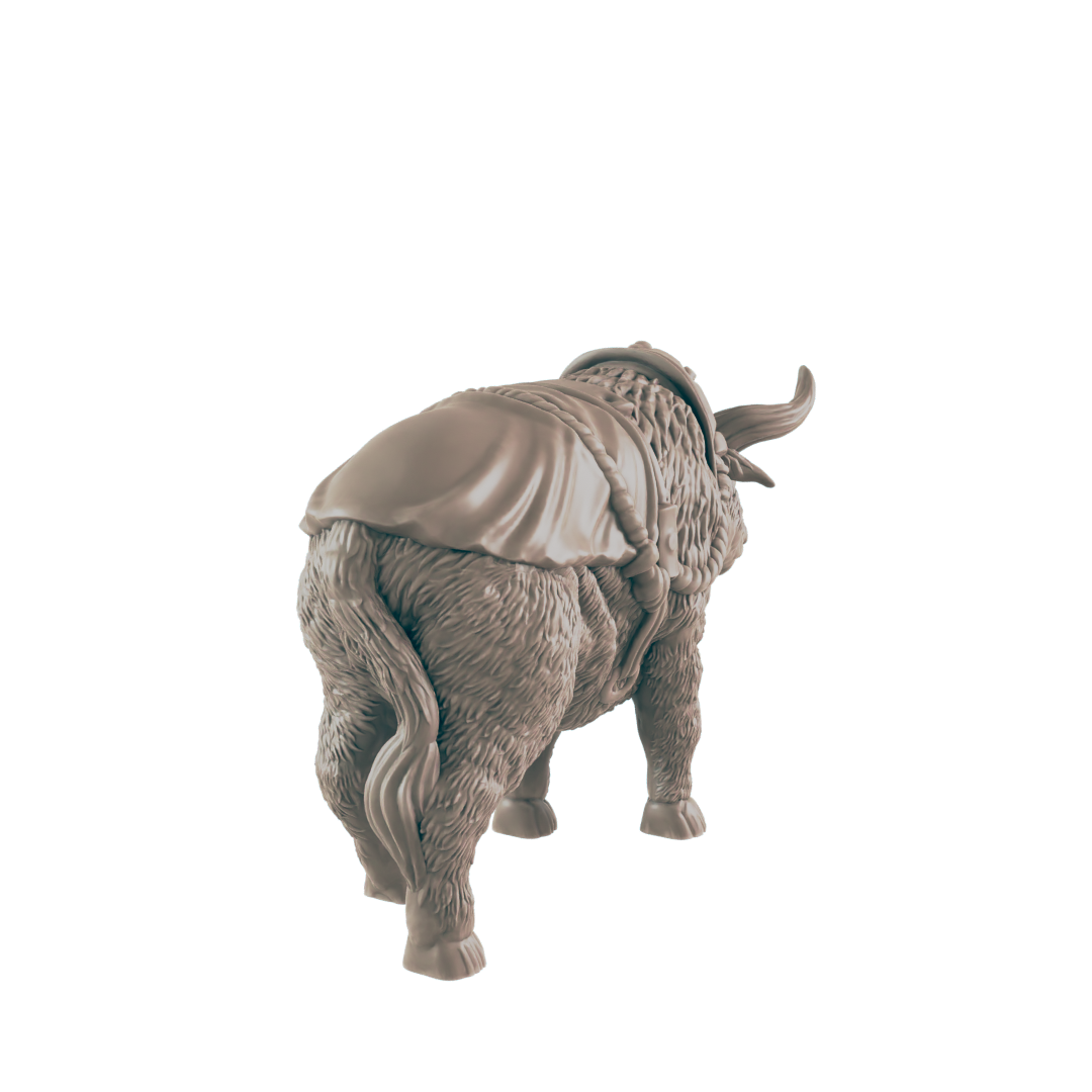 Animals - Everyday Folk