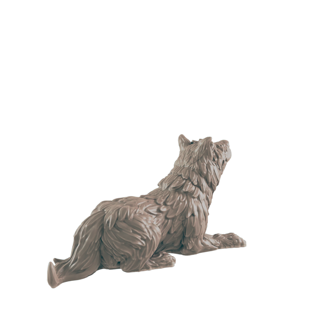 Animals - Everyday Folk