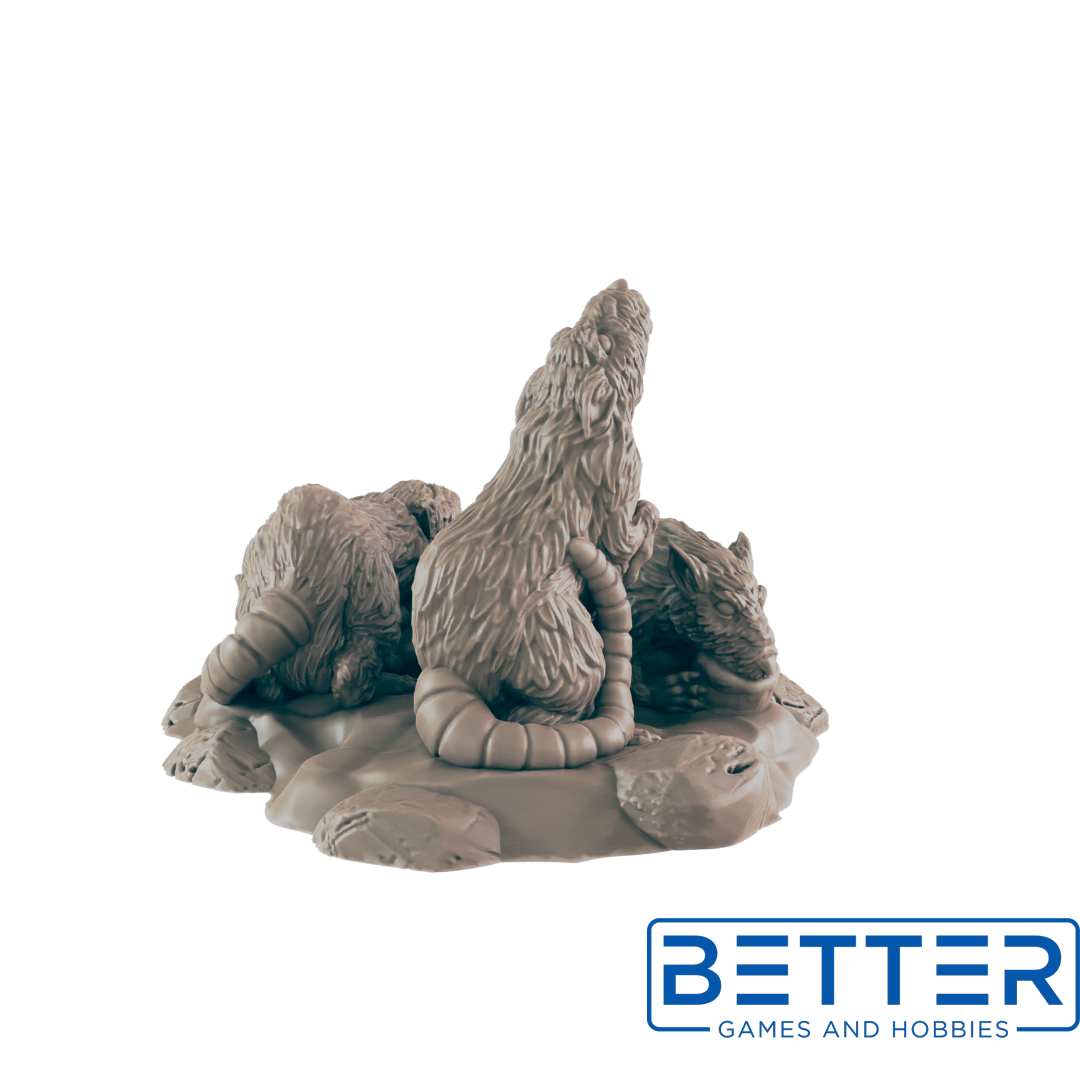 Animals - Everyday Folk