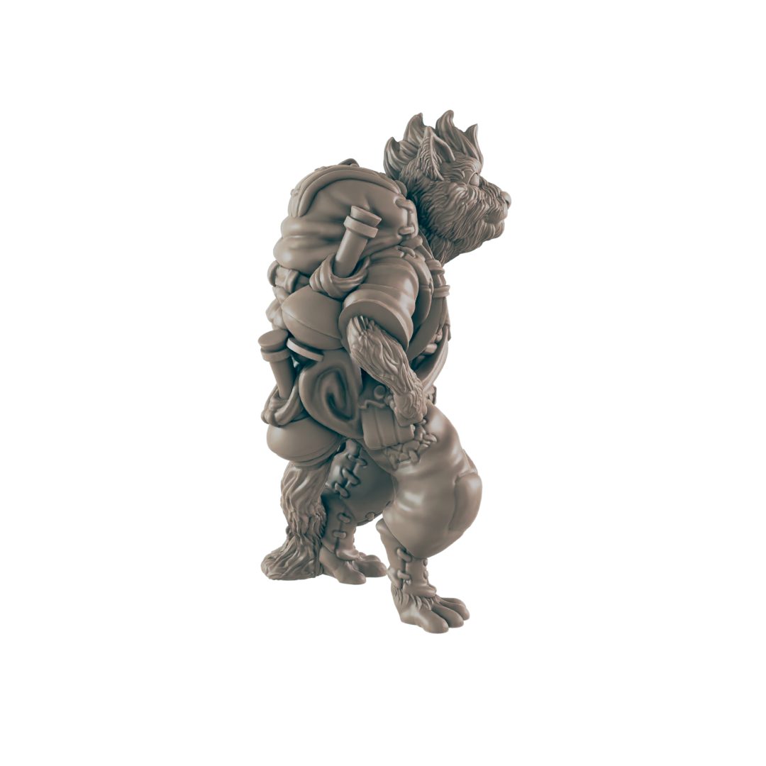 Cat folk - Everyday Folk