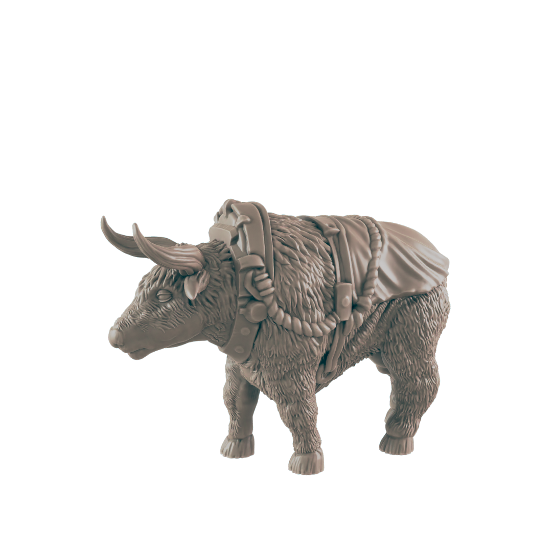 Animals - Everyday Folk