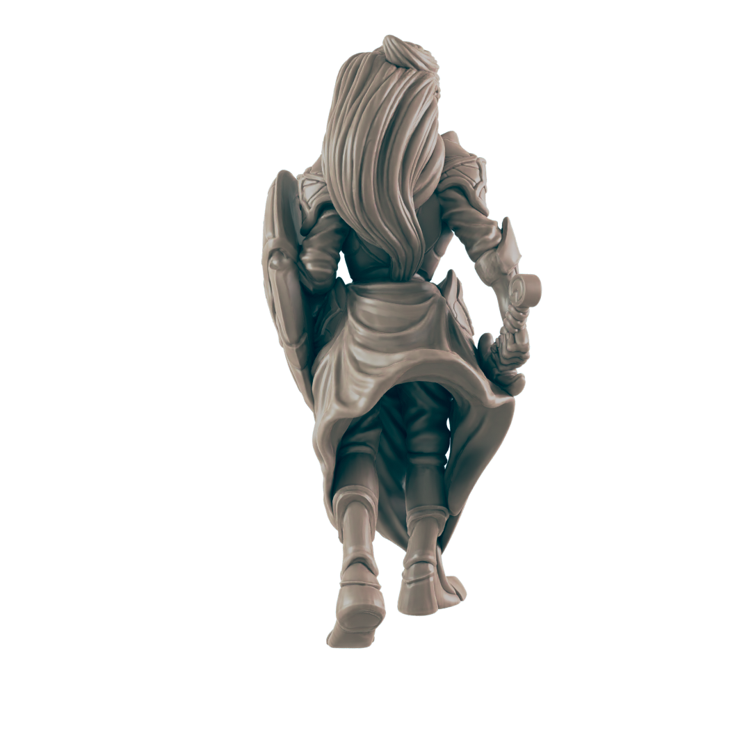 Paladins - Everyday Heroes