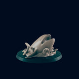 Aquatic Creatures