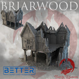 Shop 3 - Ruins of Briarwood