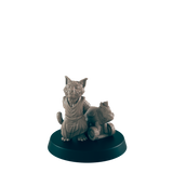 Cat folk - Everyday Folk