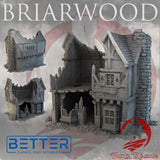 Shop 2 - Ruins of Briarwood