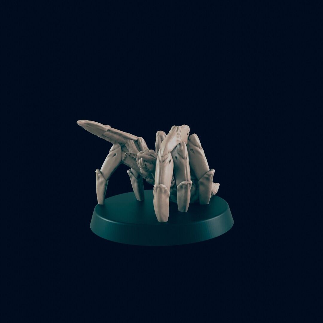 Oozes & Spiders