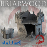 House 1 - Ruins of Briarwood
