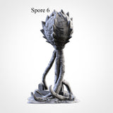 Spores